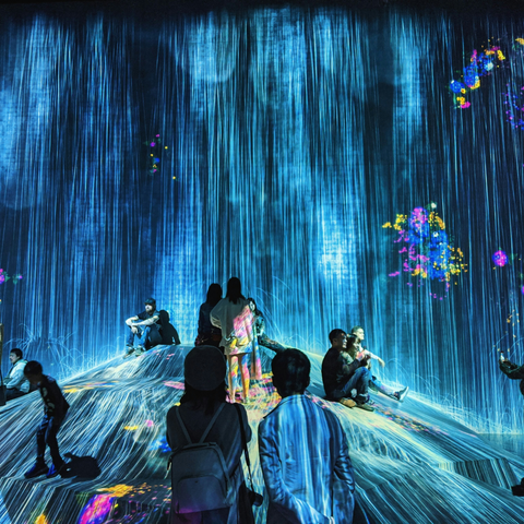 TeamLab Borderless Tokyo