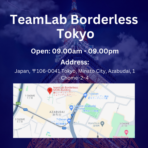 TeamLab Borderless Tokyo