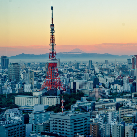 Tokyo Tower Main (150m) and Top Deck Tour (250m)