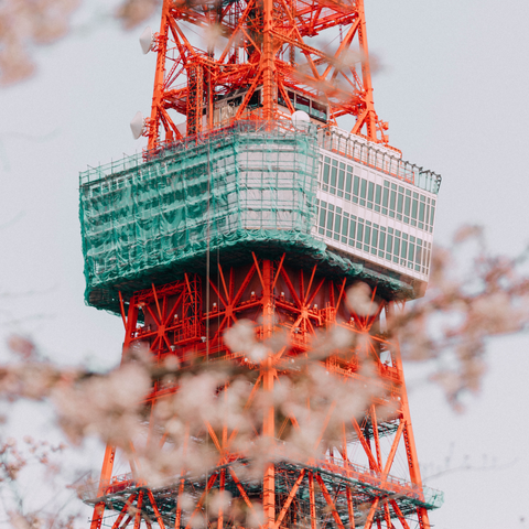 Tokyo Tower Main (150m) and Top Deck Tour (250m)