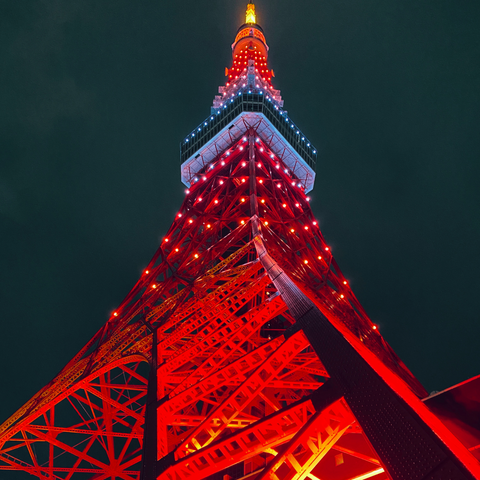 Tokyo Tower Main (150m) and Top Deck Tour (250m)