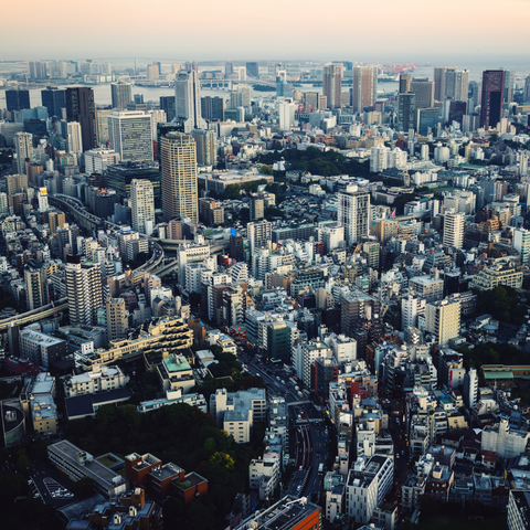 Tokyo Tower Main (150m) and Top Deck Tour (250m)